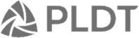 PLDT Logo