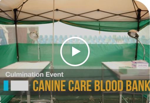 Animal Blood
Bank
