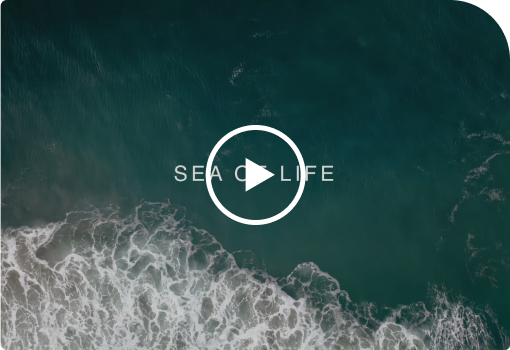 Sea of Life
